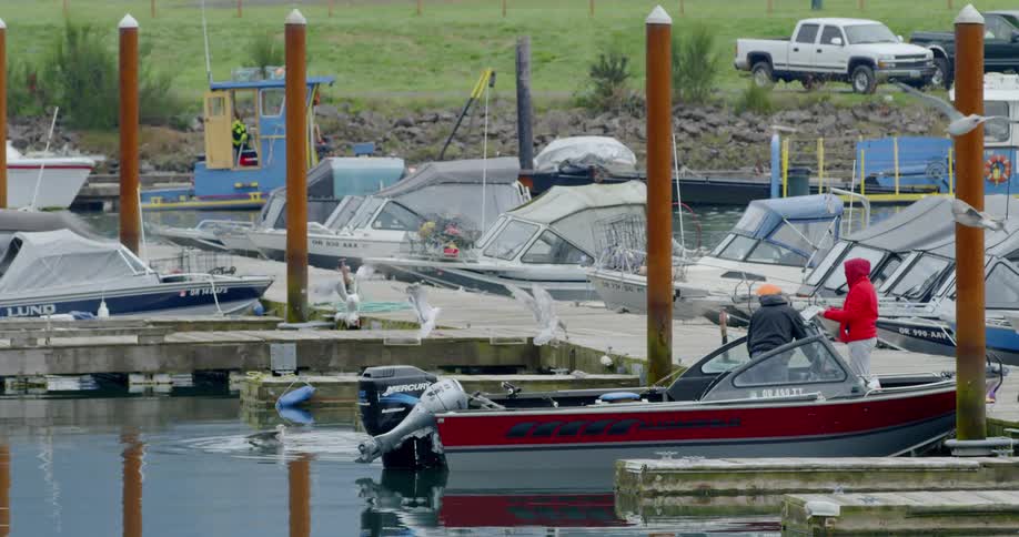Two people stand in a docked motor boat watching a flock of seagulls fly down into the water next to them