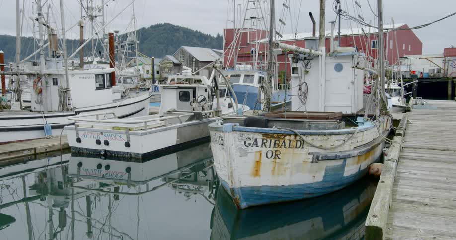 An activity at the harbor