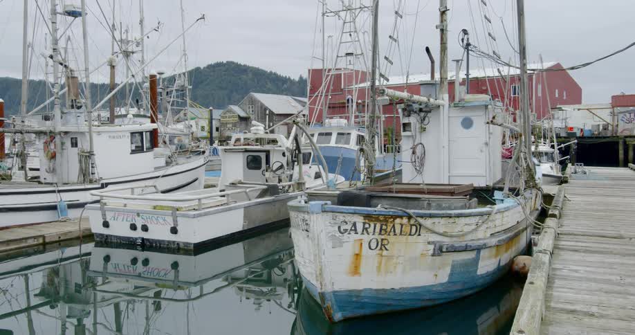 A slow shot of a marina