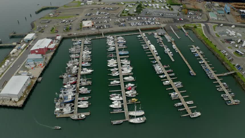 Dozens of boats filled the docks at a marina