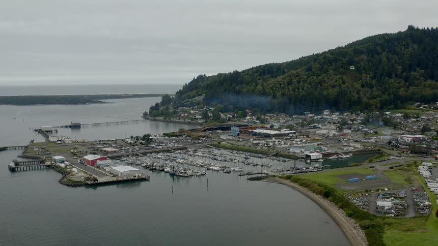 A large marina area and city lie at the foot of a forested hill in an ocean bay