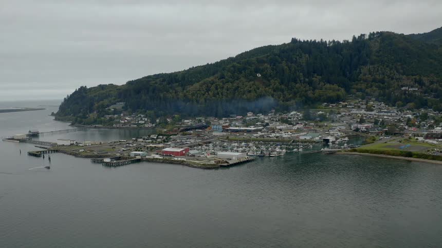 An aerial view of city near ocean