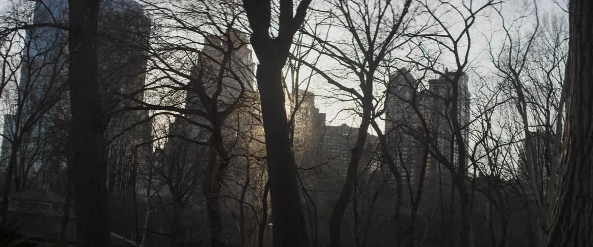 A city at sunrise seen through barren trees