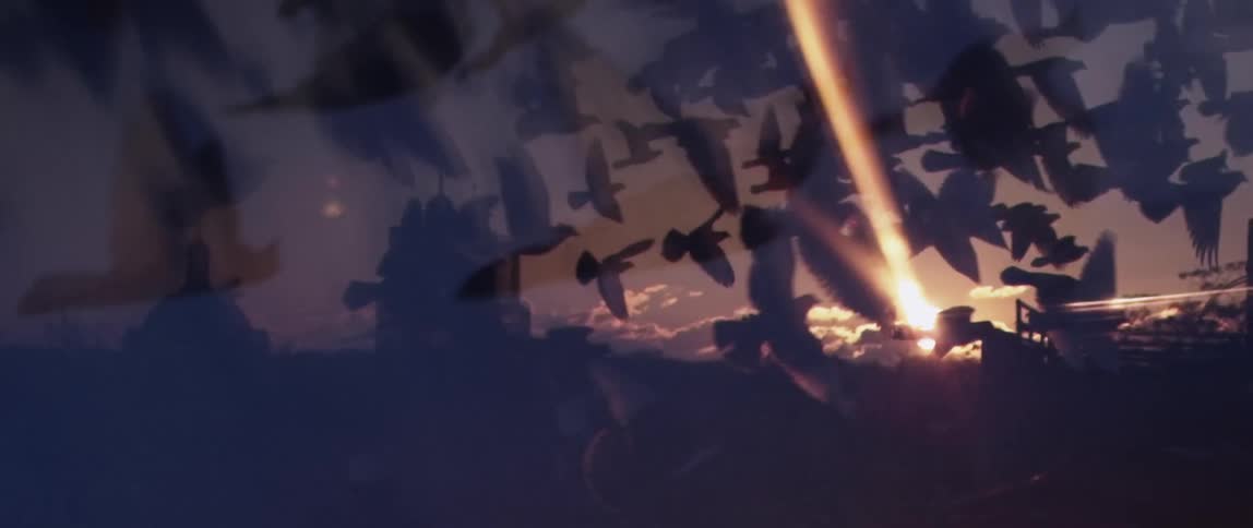 A flock of flying birds obscures the rising sun and a tall building