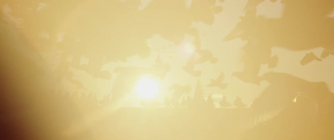 A flock of birds flying, taking off, and landing at sunset