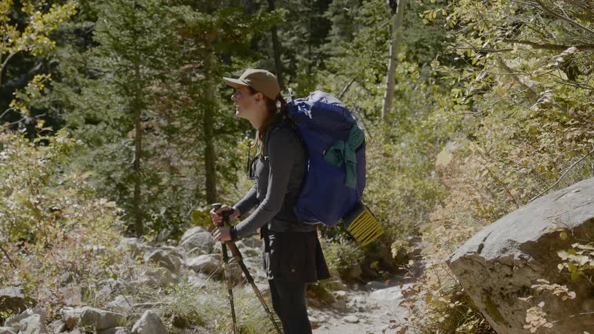 A male hiker at the forest