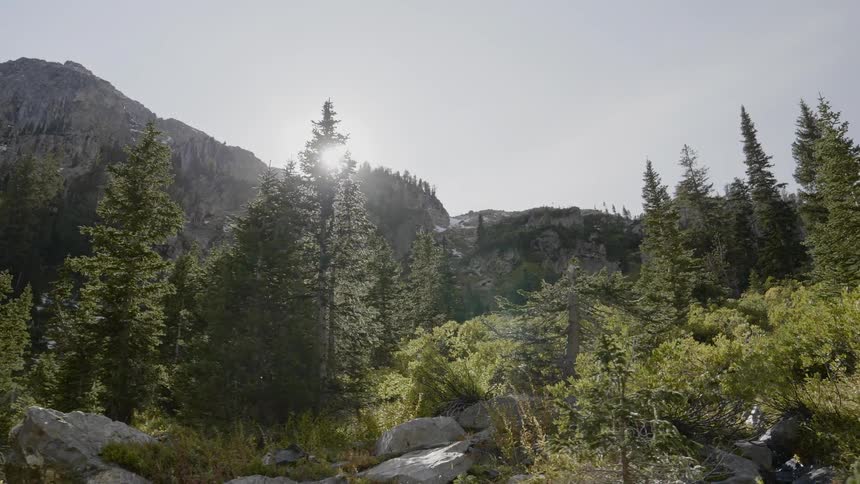 The sun shines down over the cliff to the forest trees below