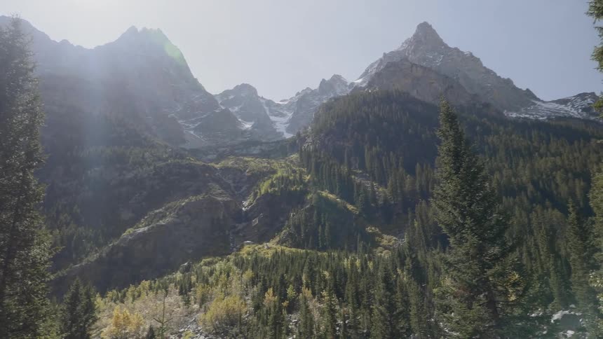 Sunlight illuminates a mountain range with evergreen trees growing on its slopes and snow on its peaks