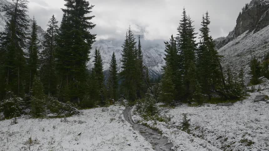 Landscape view of a trail on a snow covered hill