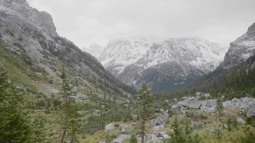 Pine trees grow in the valley of a mountain range with snow capped peaks