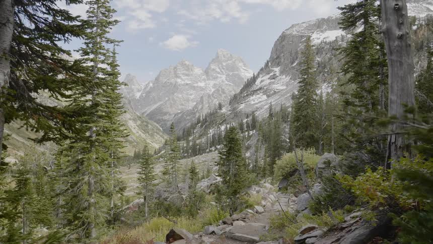 Woods with a rocky path with mountains and the sky in the background