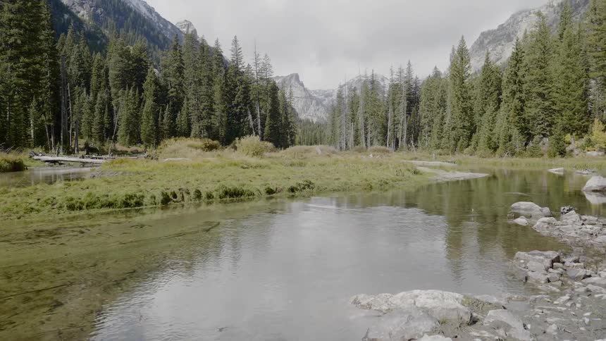 A shallow creek runs through a forest and mountains