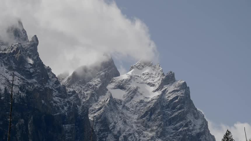 Clouds obscure the peaks of snowcapped mountains that loom above pine trees