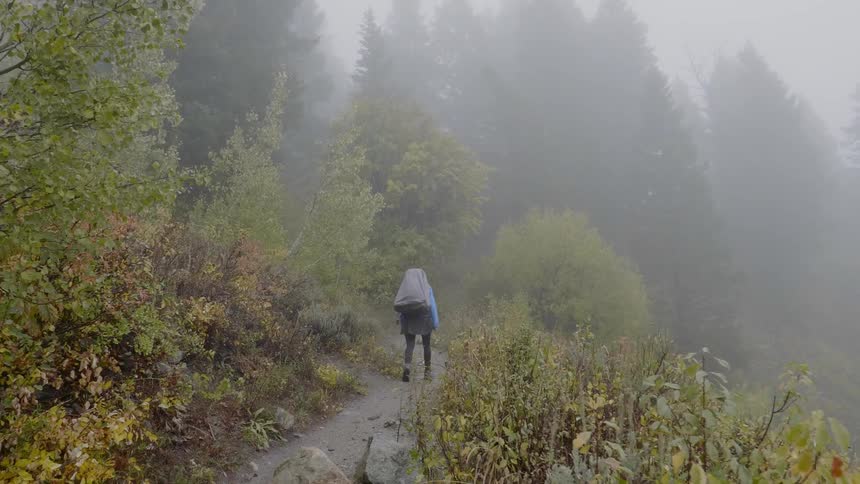 Woman walks on the forest path in the forest while it rains