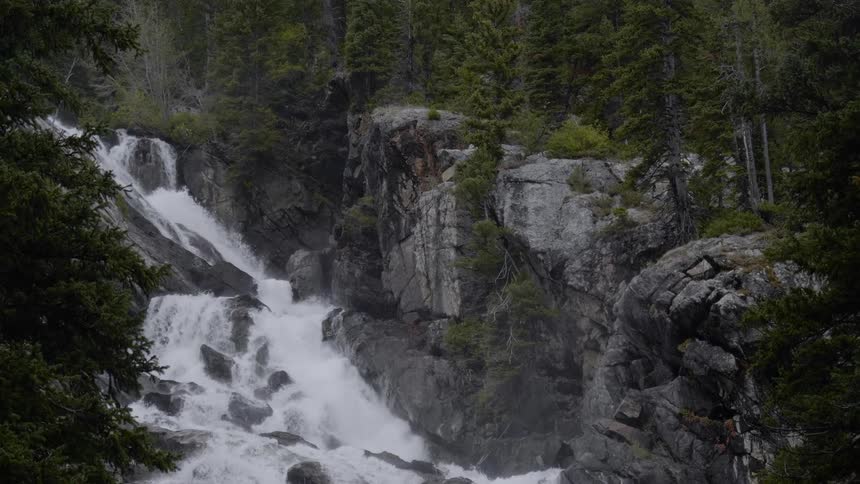Water cascades down the mountain with trees nearby