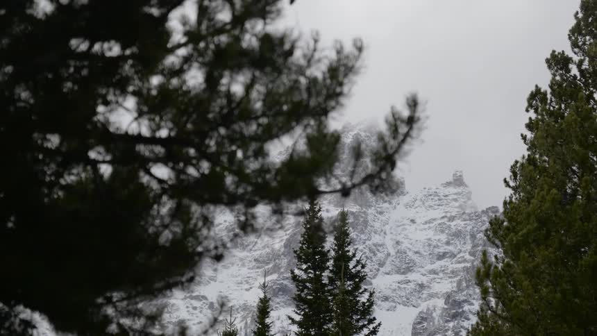 Craggy snow covered mountain towers over conifer forest