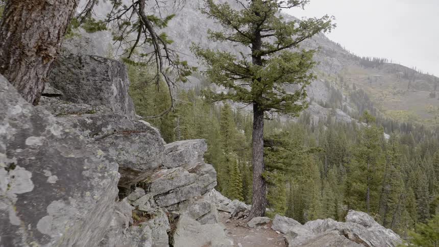 A scenery of a rocky mountain and forest