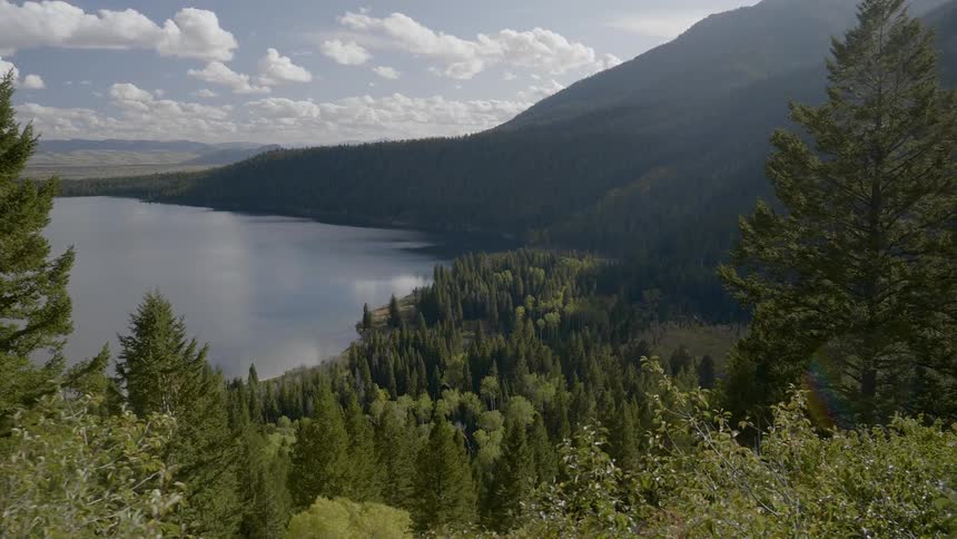 A lake with trees and mountains in the background