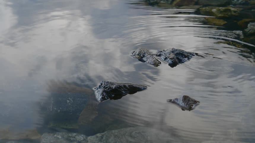 A group of stones protrude from the surface of clear water and cause small ripples to form