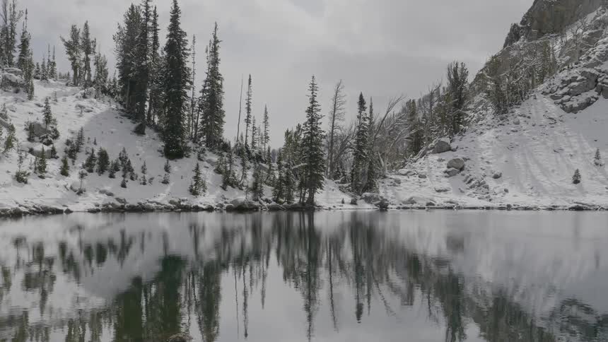 A calm lake with small ripples shows the reflection of several tall trees that are standing out from the snow covered ground around them