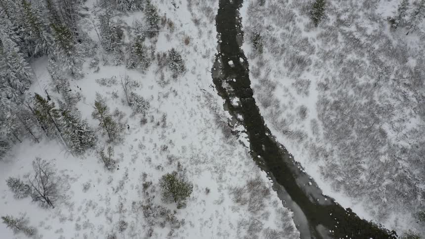 An aerial view of a river flowing through a snowy forest in the mountains