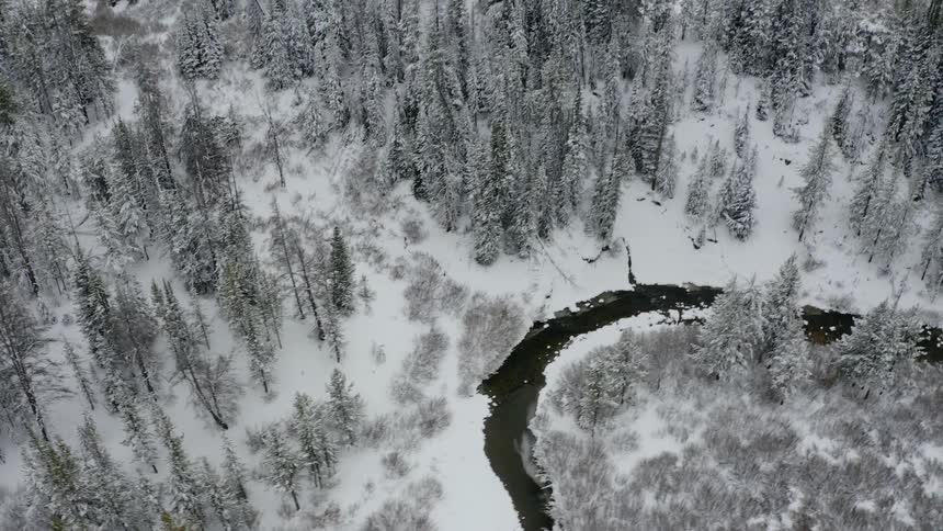 A snow covered forest in winter has a narrow river that snakes its way between the trees