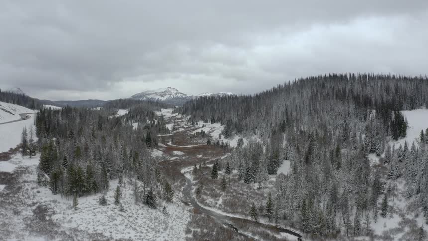 Snow sits on a forest and mountain