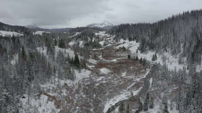 A large forest is covered in a dusting of snow on a cold and cloudy day as tall snow covered mountains loom in the background