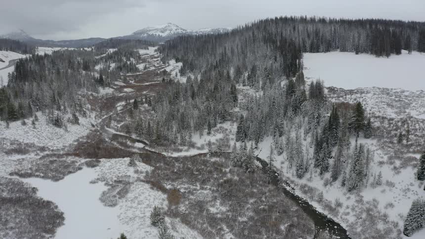 A remote forest and nearby mountain range are covered in a thick layer of snow that coats the ground and trees alike
