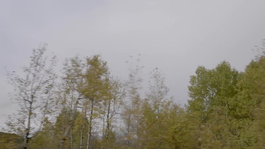 Mountains are visible behind an area densely covered by deciduous trees