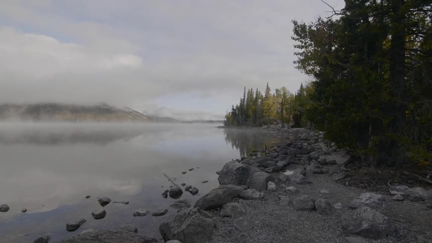 A scenery of lake in the middle of forest