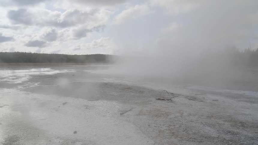 Steam and mist rise from the surface of a natural hot spring located in a clearing amidst a heavily forested area