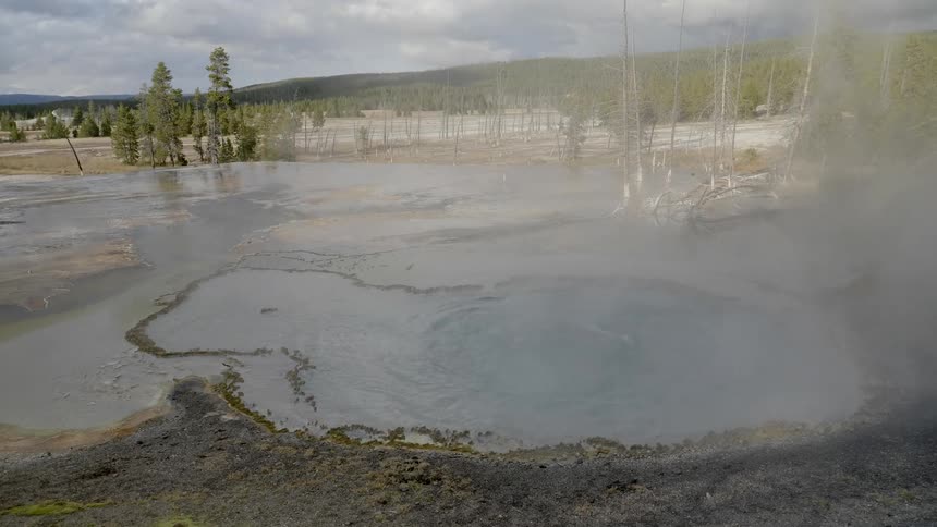 Shrouded in steam and vapor a pond of boiling water bubbles up from a natural hot spring that is surrounded by a large forest