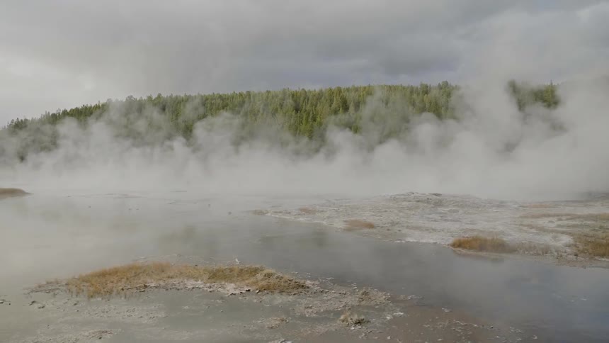 The swamp is covered with steam near the forest
