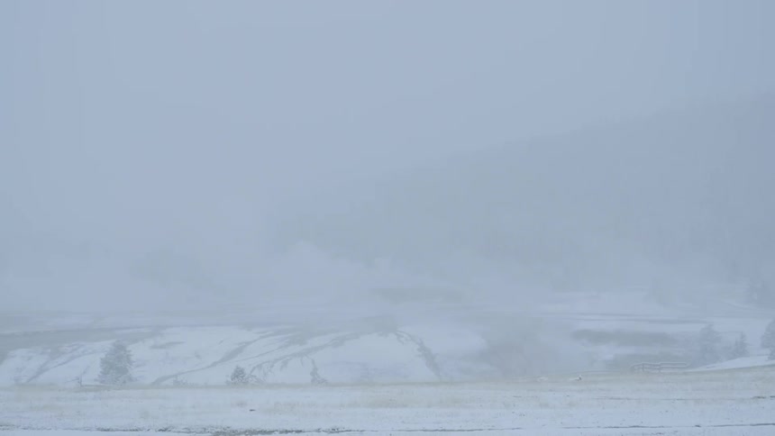 Icy tundra during a snowstorm
