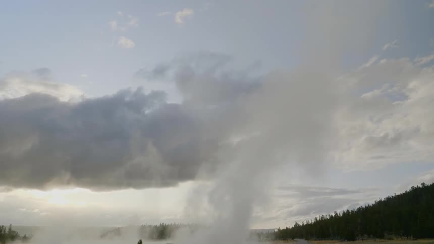 Steam and vapor rise from the ground above a natural hot spring that is surrounded by a forest