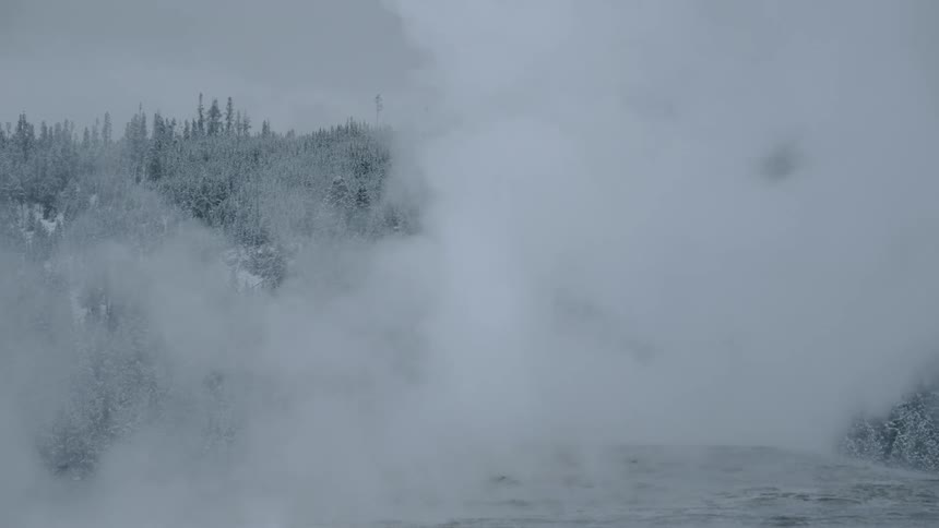 A thick plume of steam rises into the sky as it escapes from a natural steam vent in a snowy forest area