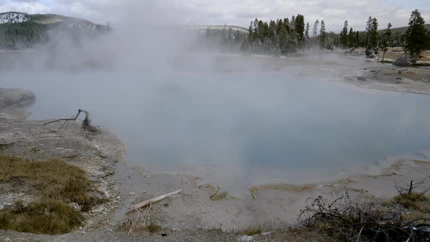 Steam rises from hot spring near forest and mountain
