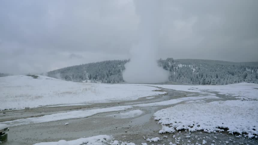 A steam geyser erupts in the wilderness