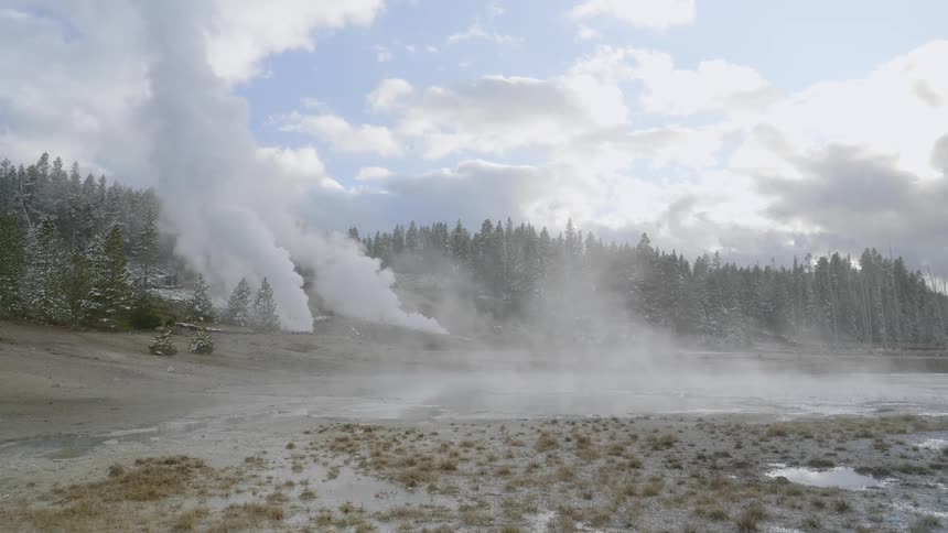 The steam slowly rises from the hot springs near the woods