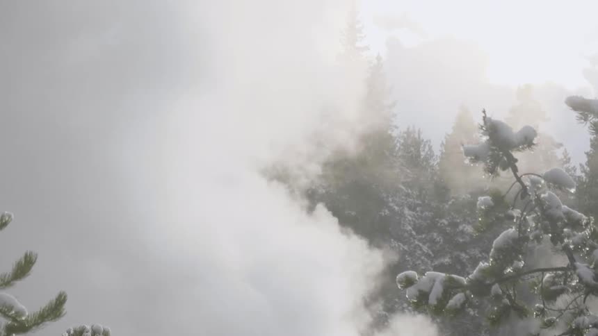 A thick plum of steam billows upwards into the air amidst a snow covered forest full of pine trees