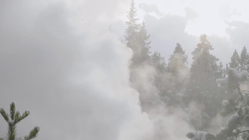 Evergreen trees covered in snow next to a hot geyser