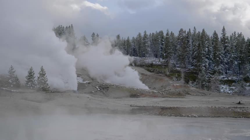 Steam billowing out of the ground surrounded by snow covered trees