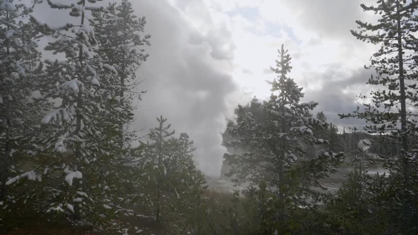 An eerie view of a snow storm at forest