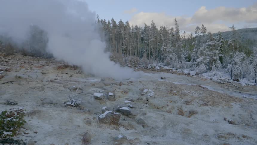 A column of smoke rises from a spot in the ground of a forest on the tundra