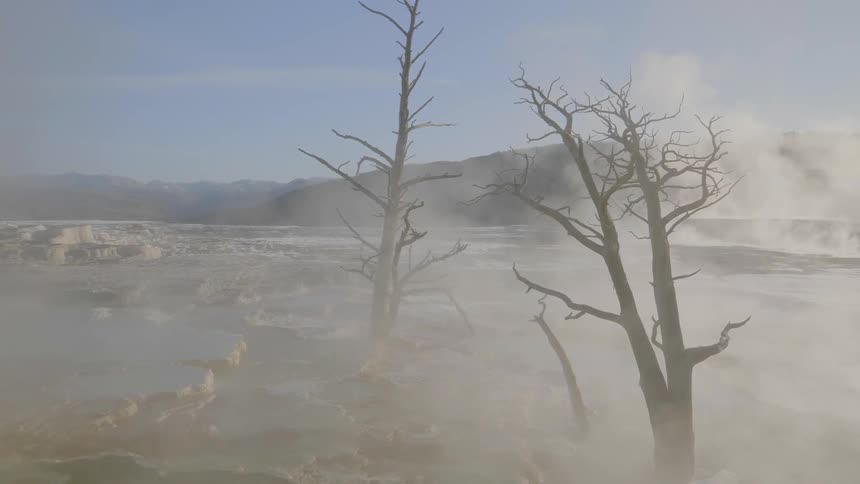 Landscape view of fog covering water with large chunks of ice in it