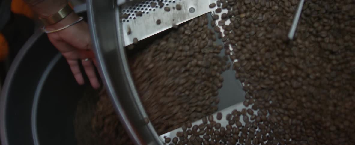 A person monitors coffee beans being sorted by machine