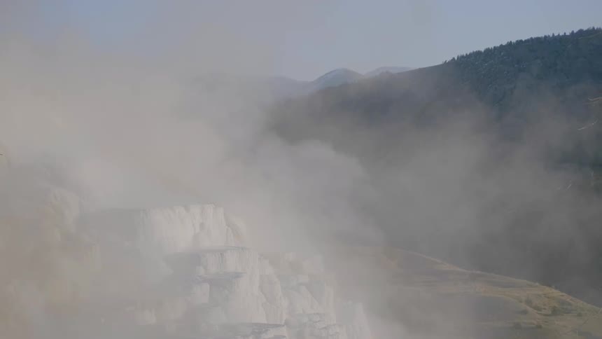 A thick cloud of steam rises into the air from a natural hot spring located in a forested area