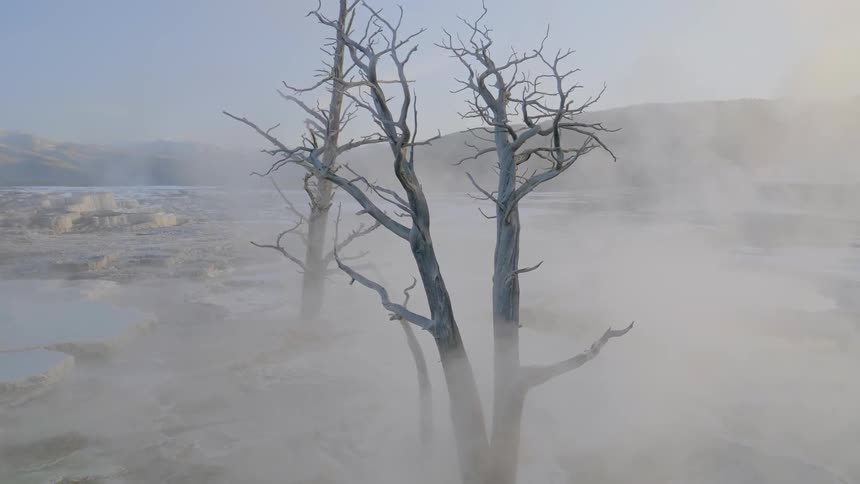 Fog rises around dead trees that are in a flat area between mountain peaks