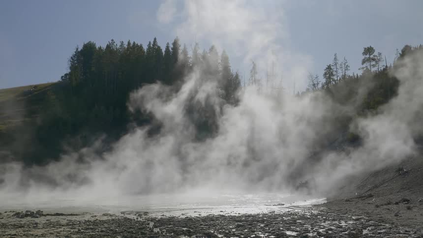 Plumes of hot steam and vapor rise up from a natural hot spring located within a forested area